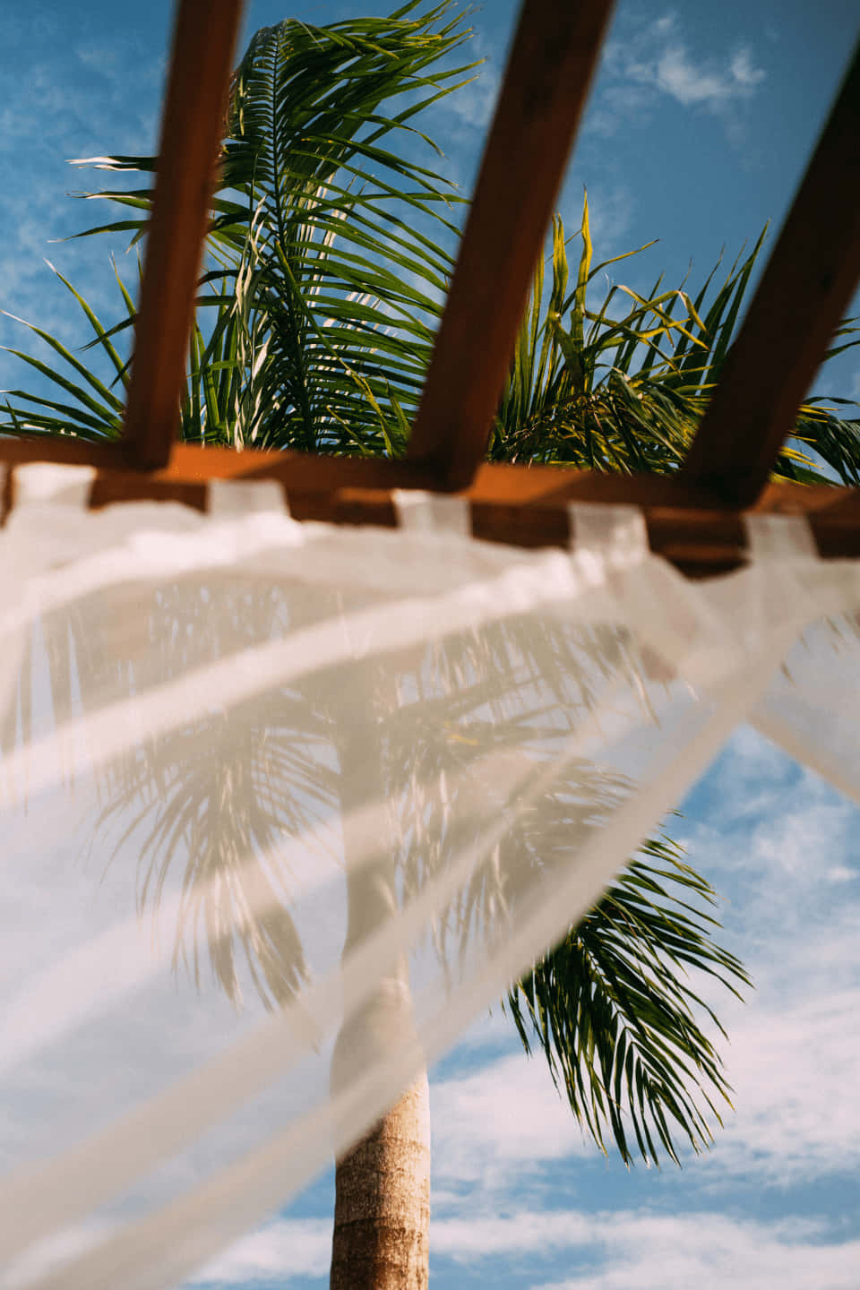 palm tree, wooden beams, white curtain, HD Phone Wallpaper