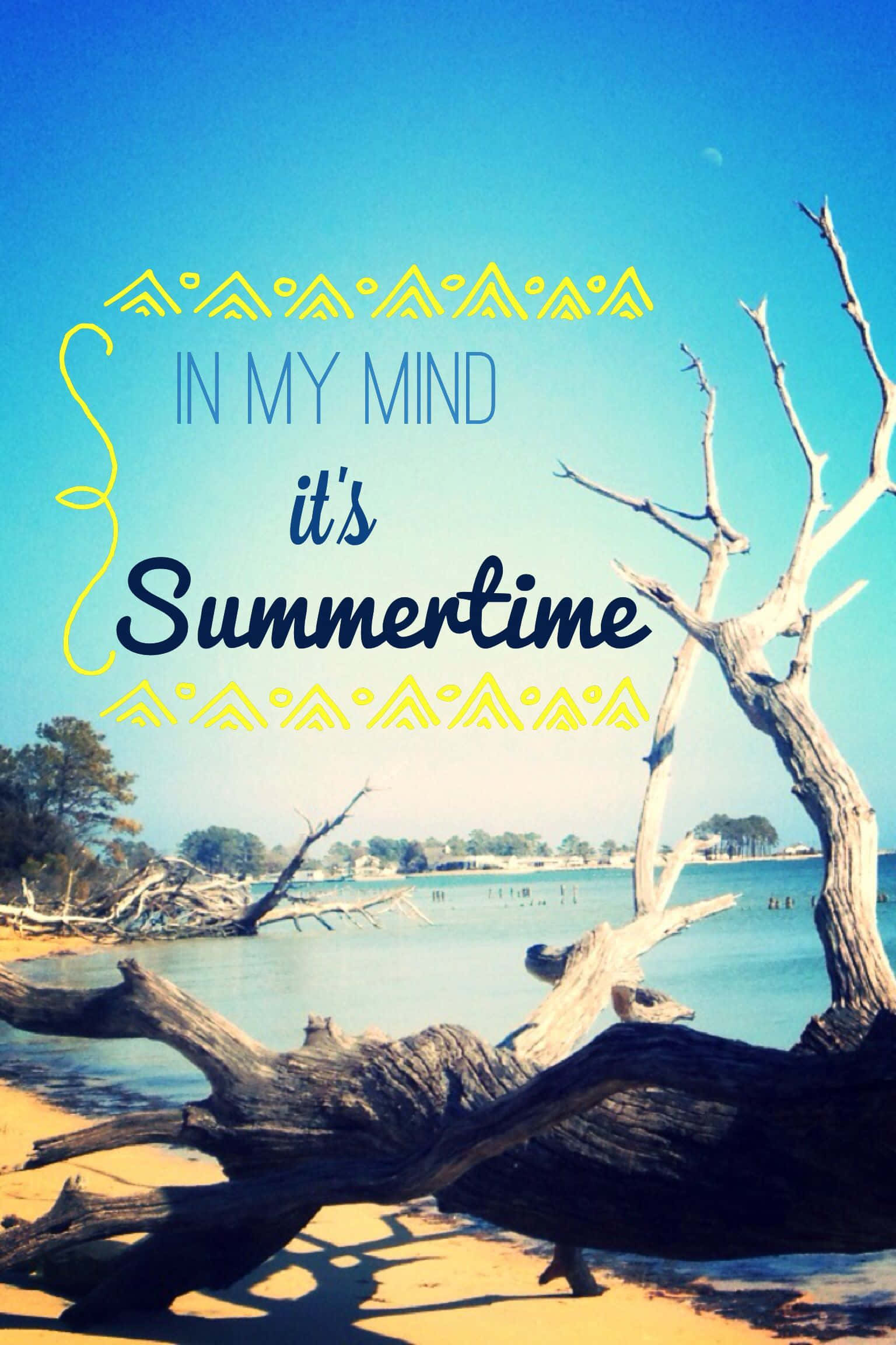 Summer Time iPhone, sunlit beach scene, driftwood, Full HD Phone Wallpaper