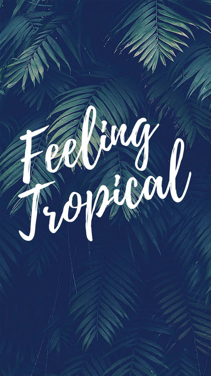 iPhone, tropical palm leaves, deep teal, HD Phone Wallpaper