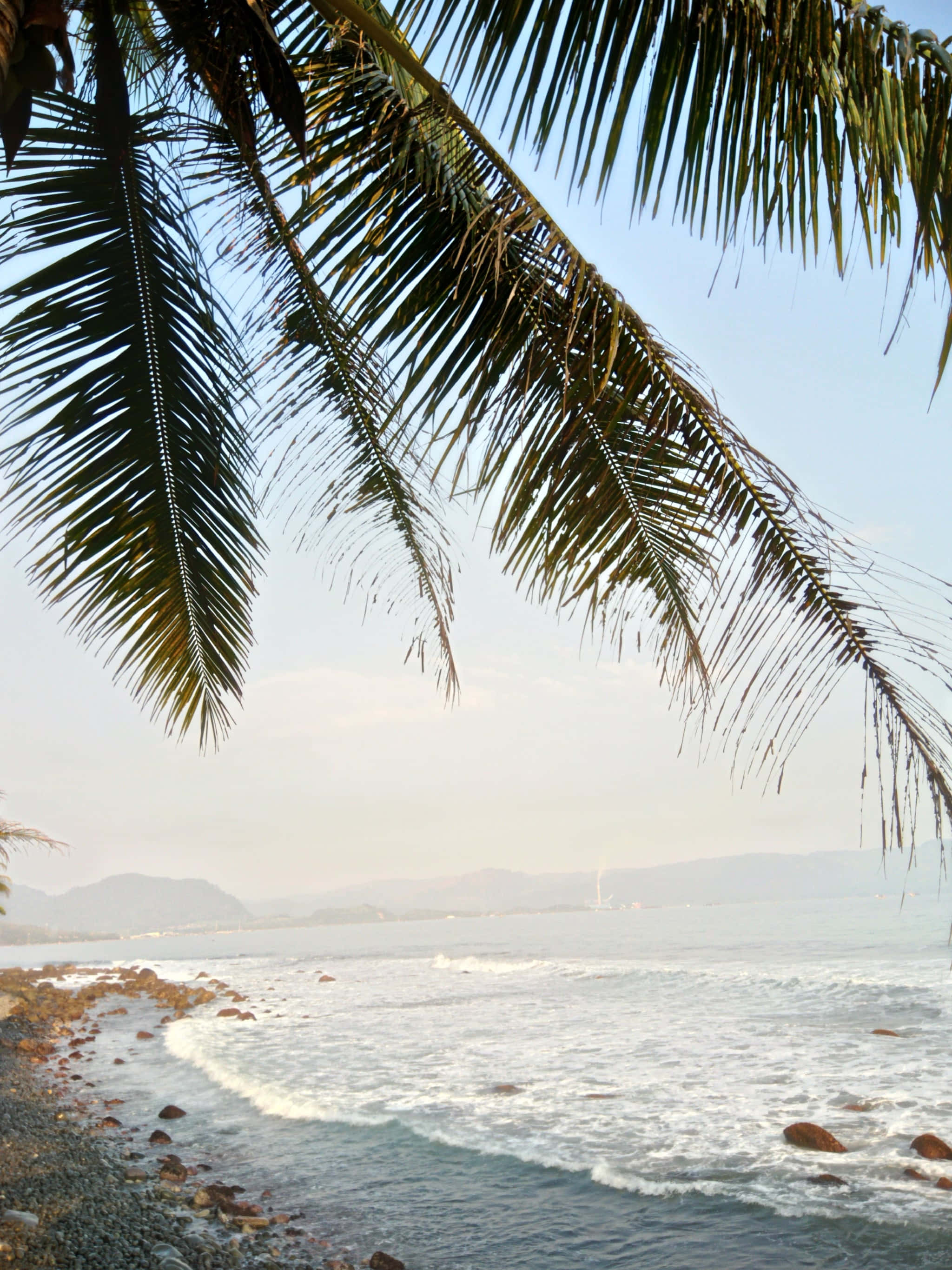 summer beach iphone, tropical beach, palm fronds, 2K Phone Wallpaper