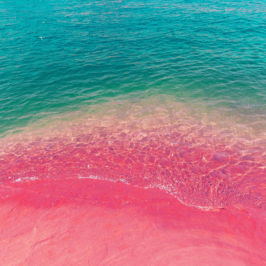 summer beach iphone, vibrant turquoise water, vivid pink shoreline, SD Desktop Wallpaper