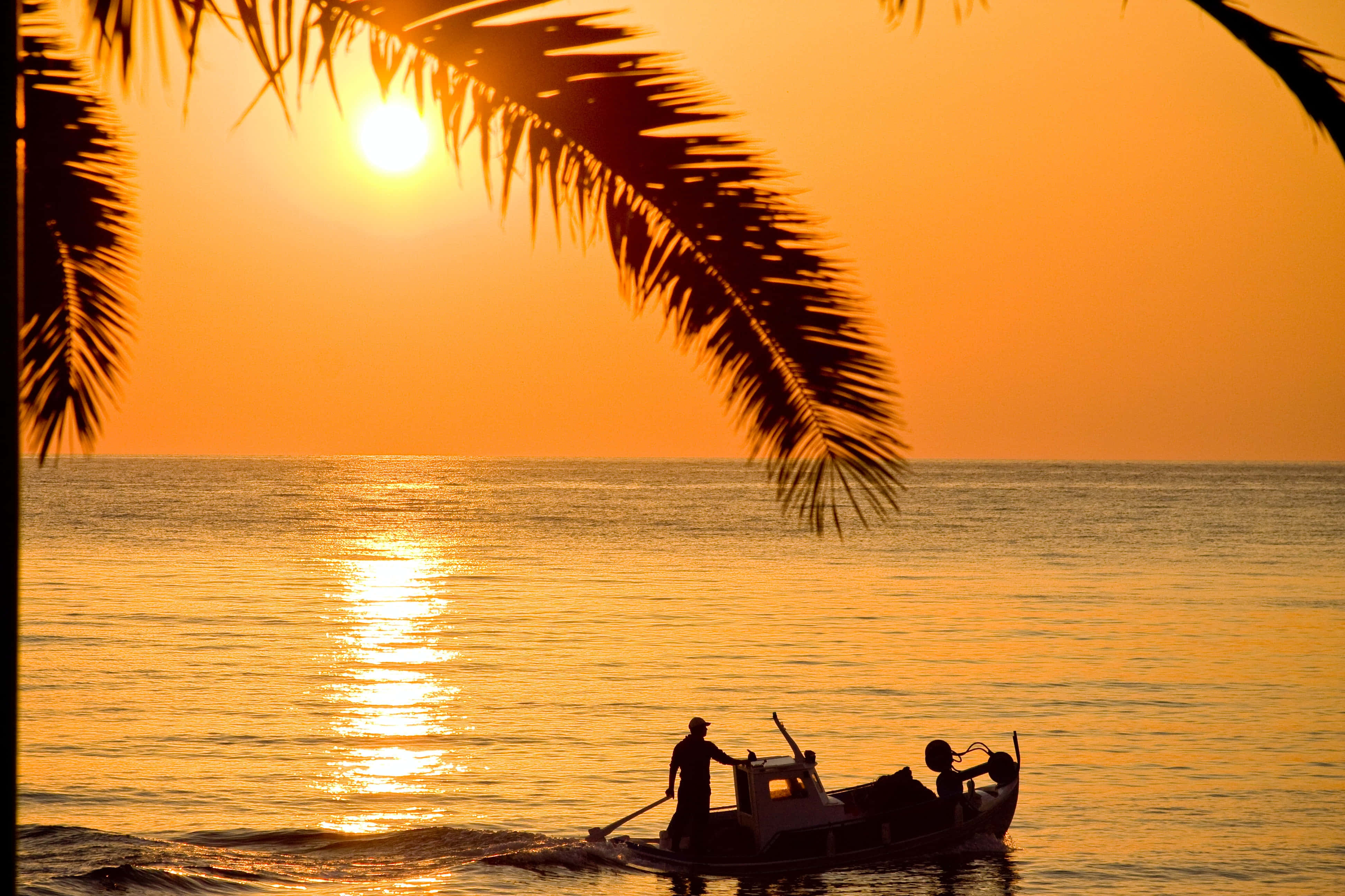 Tropical Summer Getaway, sunset, palm fronds, 4K Desktop Wallpaper
