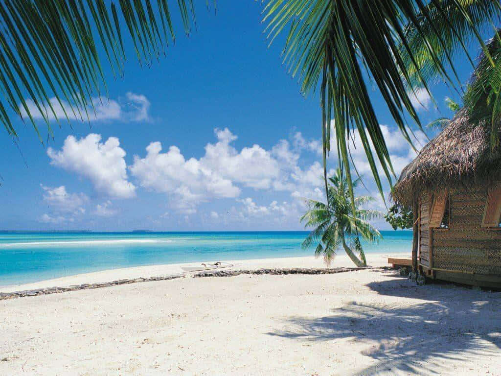 tropical beach, white sand, turquoise water, SD Desktop Wallpaper