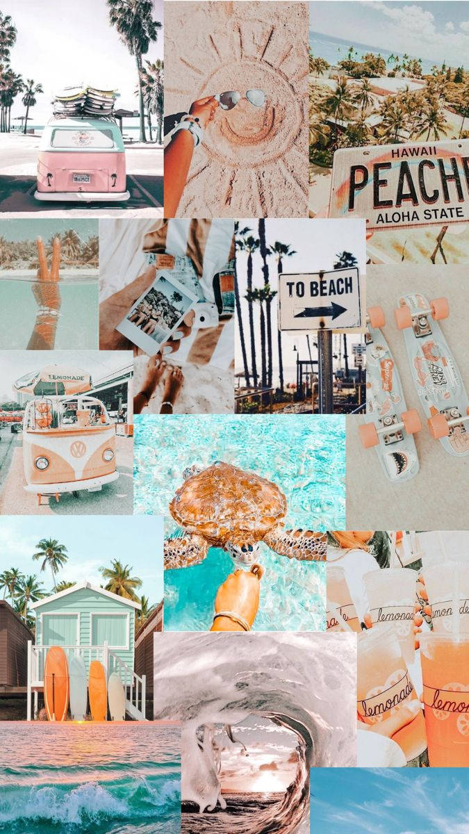 pink VW bus, palm trees, turtle in turquoise water, SD Phone Wallpaper