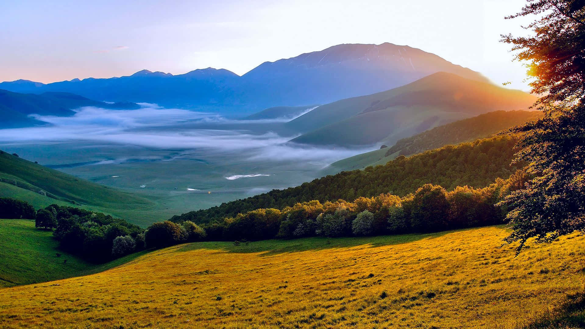 golden hills, lush forests, mist, Full HD Desktop Wallpaper