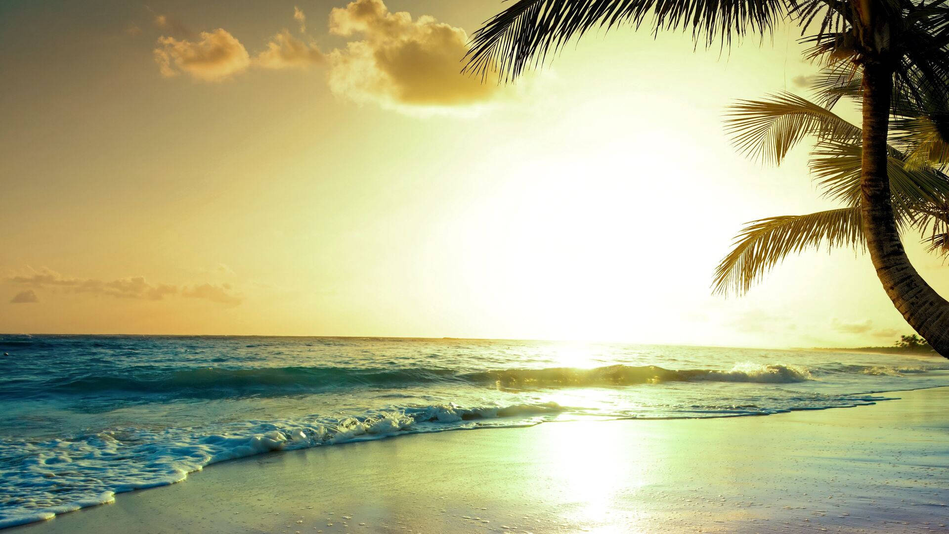 Summer Vibes, tropical sunrise, golden sunset, Full HD Desktop Wallpaper