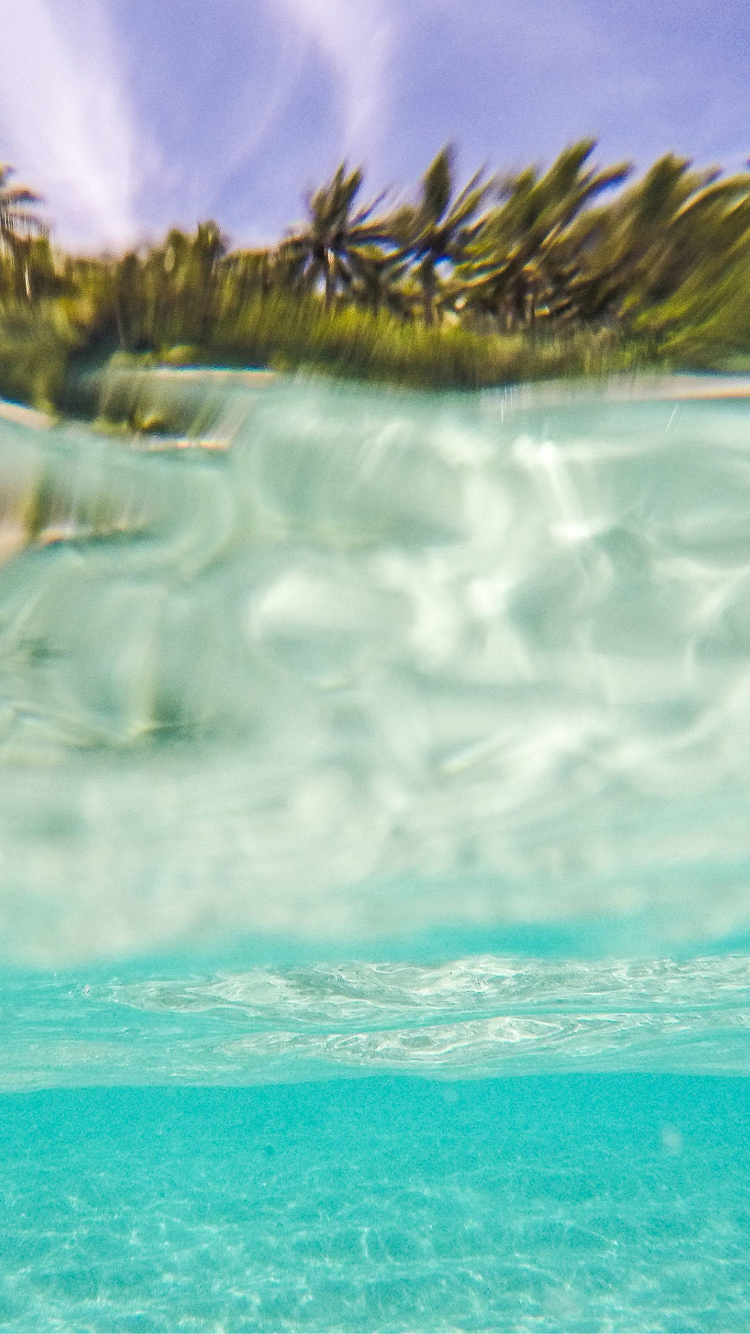 Summer Vibes, turquoise ocean water, palm trees, Full HD Phone Wallpaper