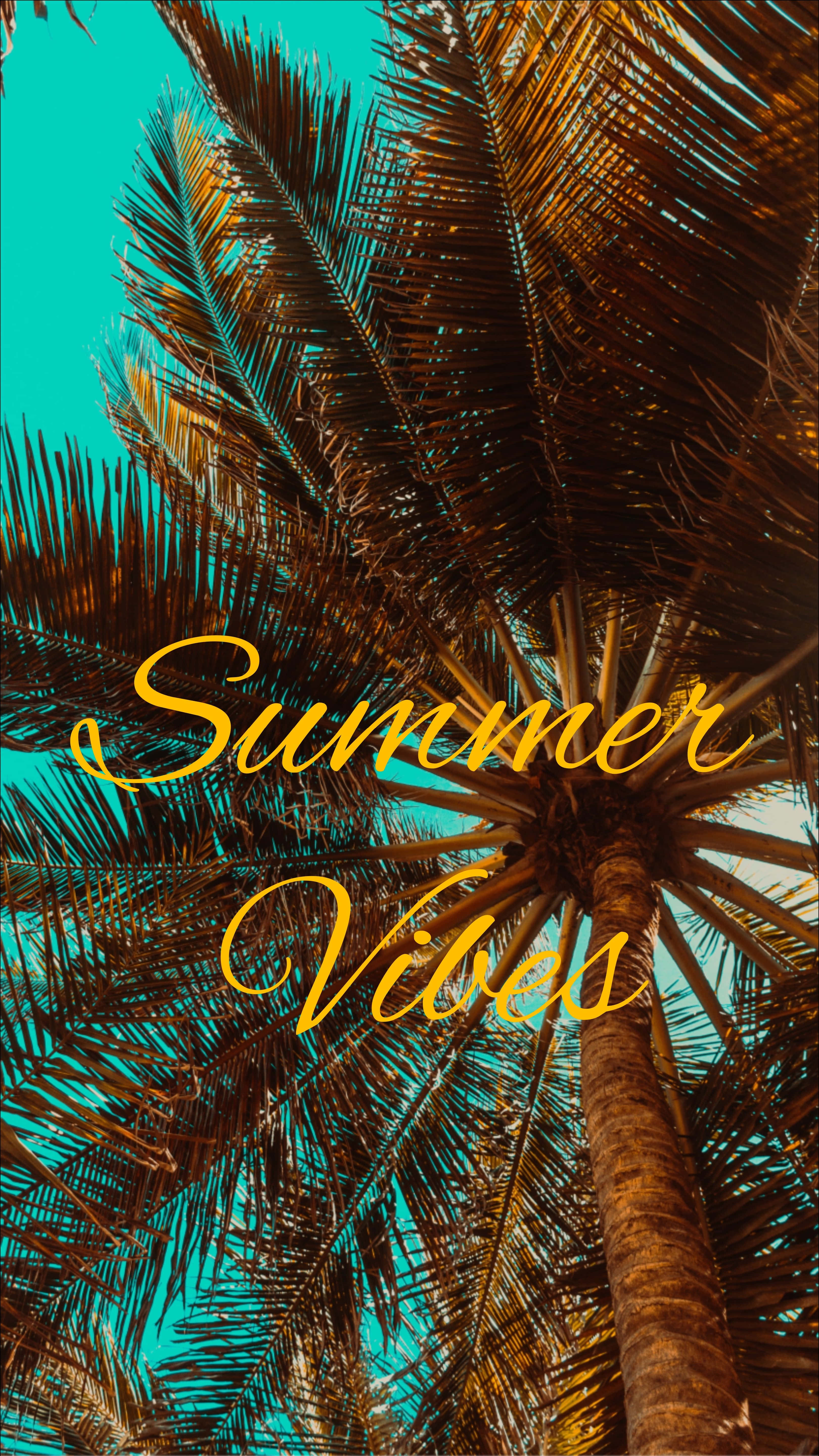 Summer Vibes, tropical palm tree canopy, bold turquoise sky, 5K Phone Wallpaper