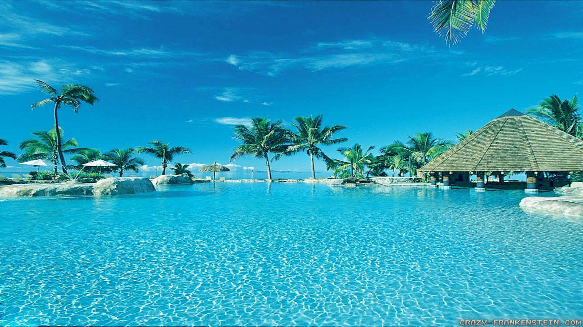 turquoise pool, clear blue sky, palm trees, Full HD Desktop Wallpaper