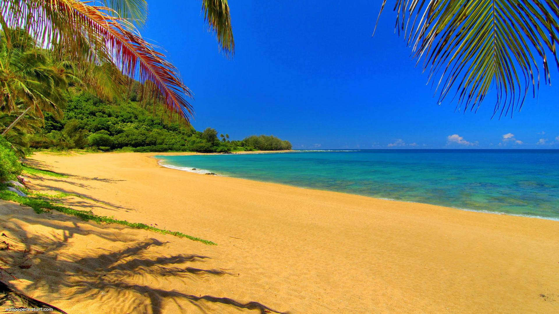 tropical beach, golden sand, turquoise water, Full HD Desktop Wallpaper