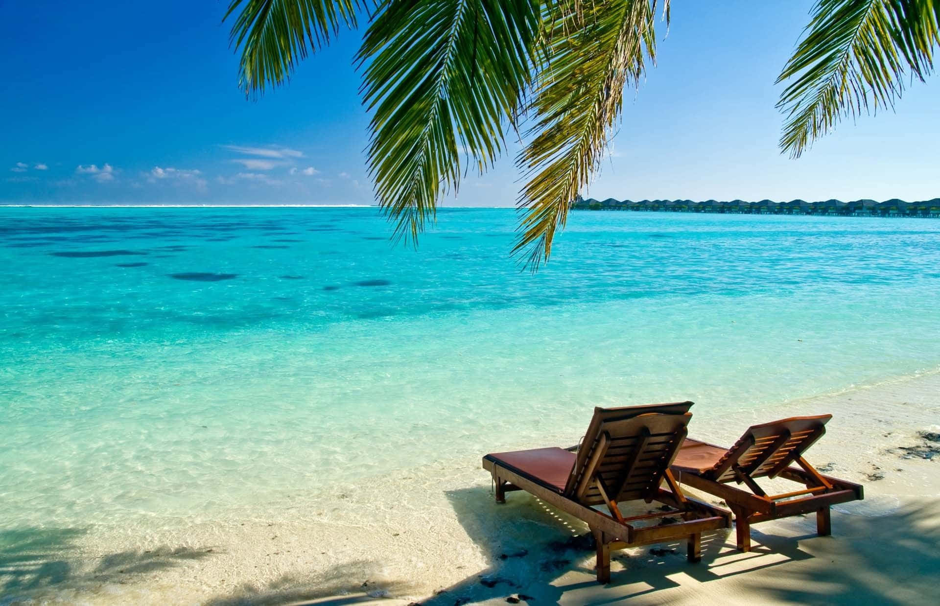 beach, palm fronds, white sand beach, Full HD Desktop Wallpaper