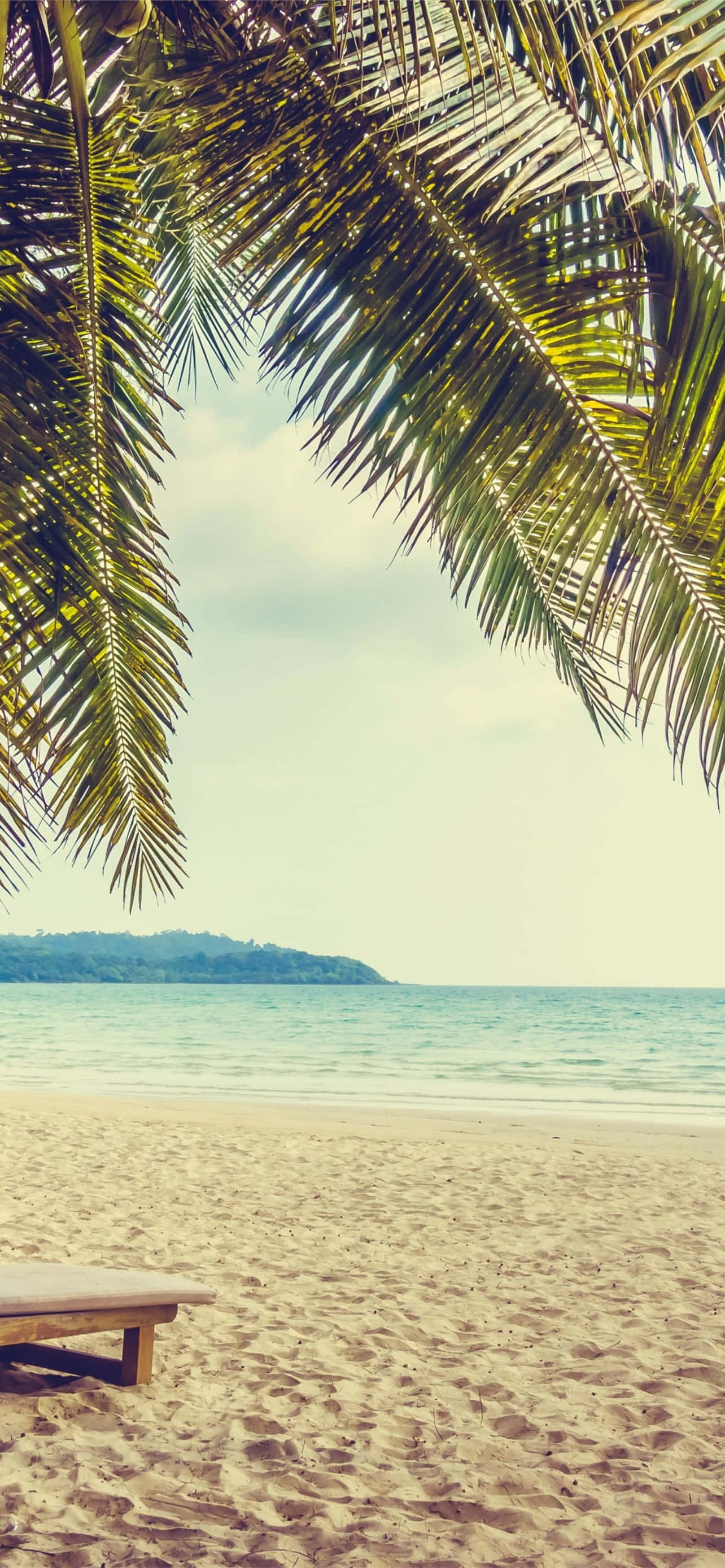 Summertime, palm fronds, tranquil beach, 2K Phone Wallpaper