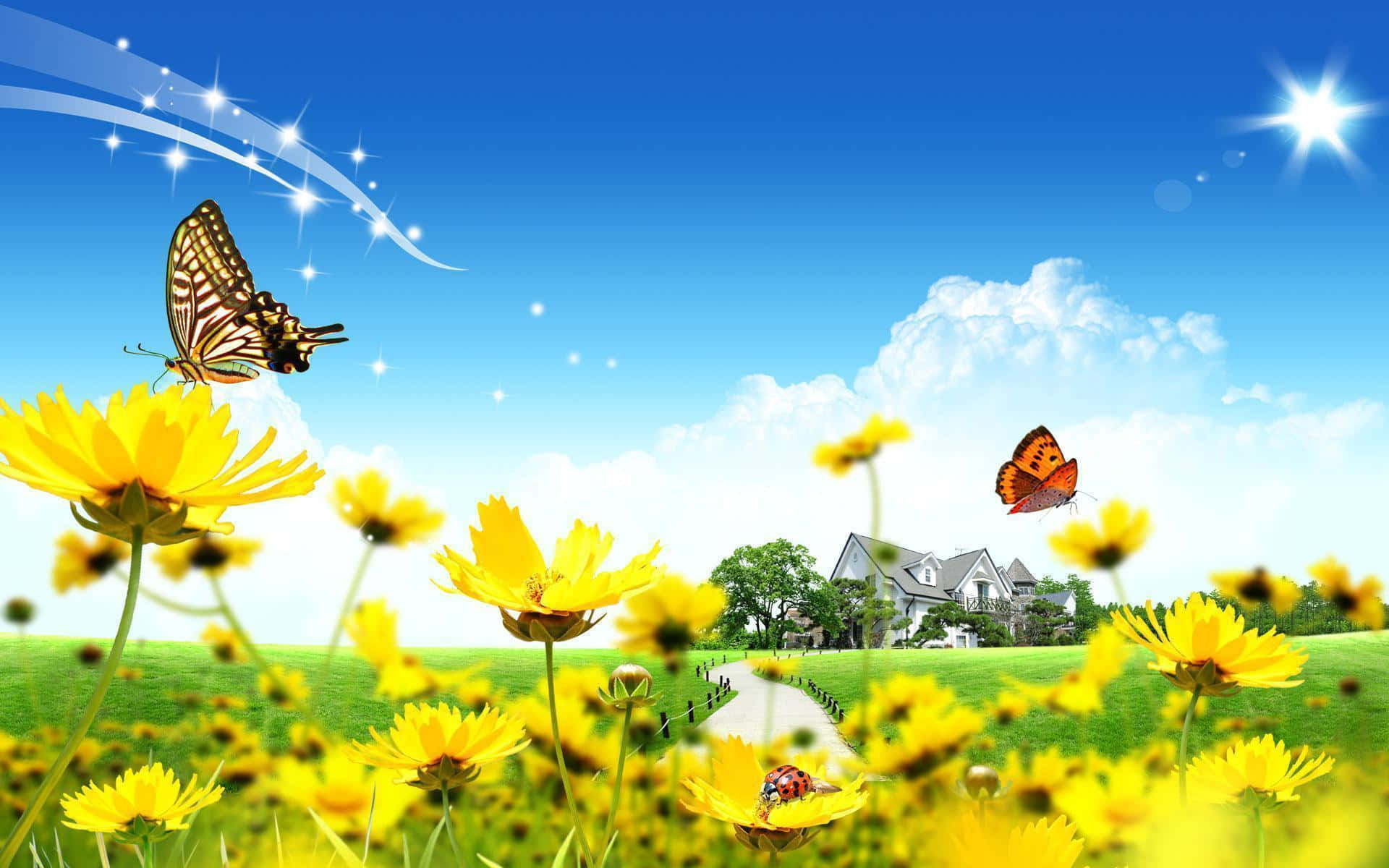yellow field, butterflies, flowers, Full HD Desktop Wallpaper