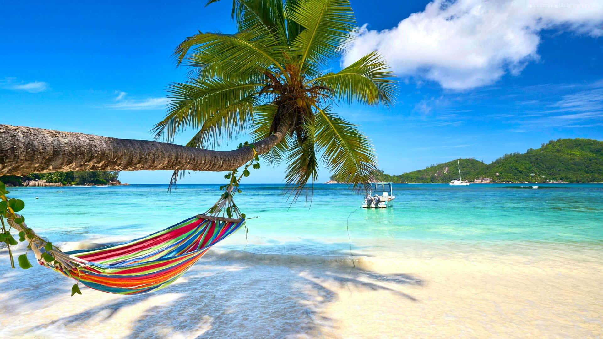 Summertime, palm tree, white sand beach, Full HD Desktop Wallpaper