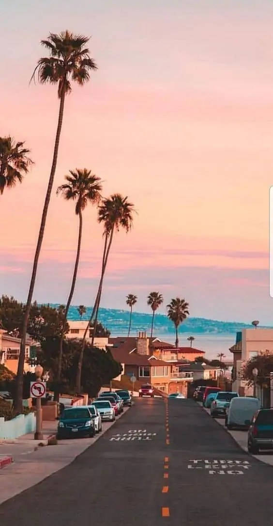 palm-lined coastal street, sunset, pastel skies, SD Phone Wallpaper
