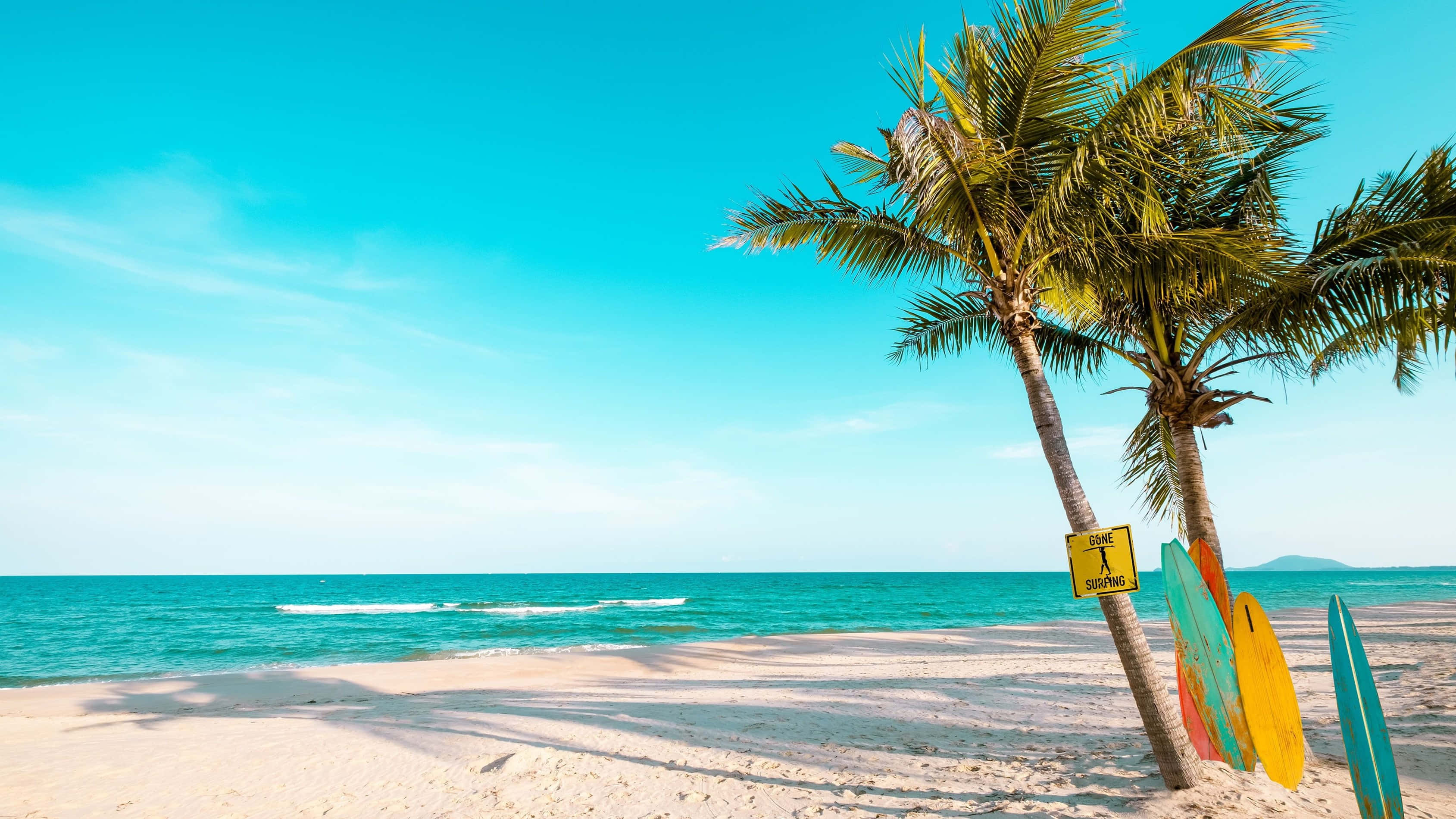beach, palm trees, surfboards, 2K Desktop Wallpaper