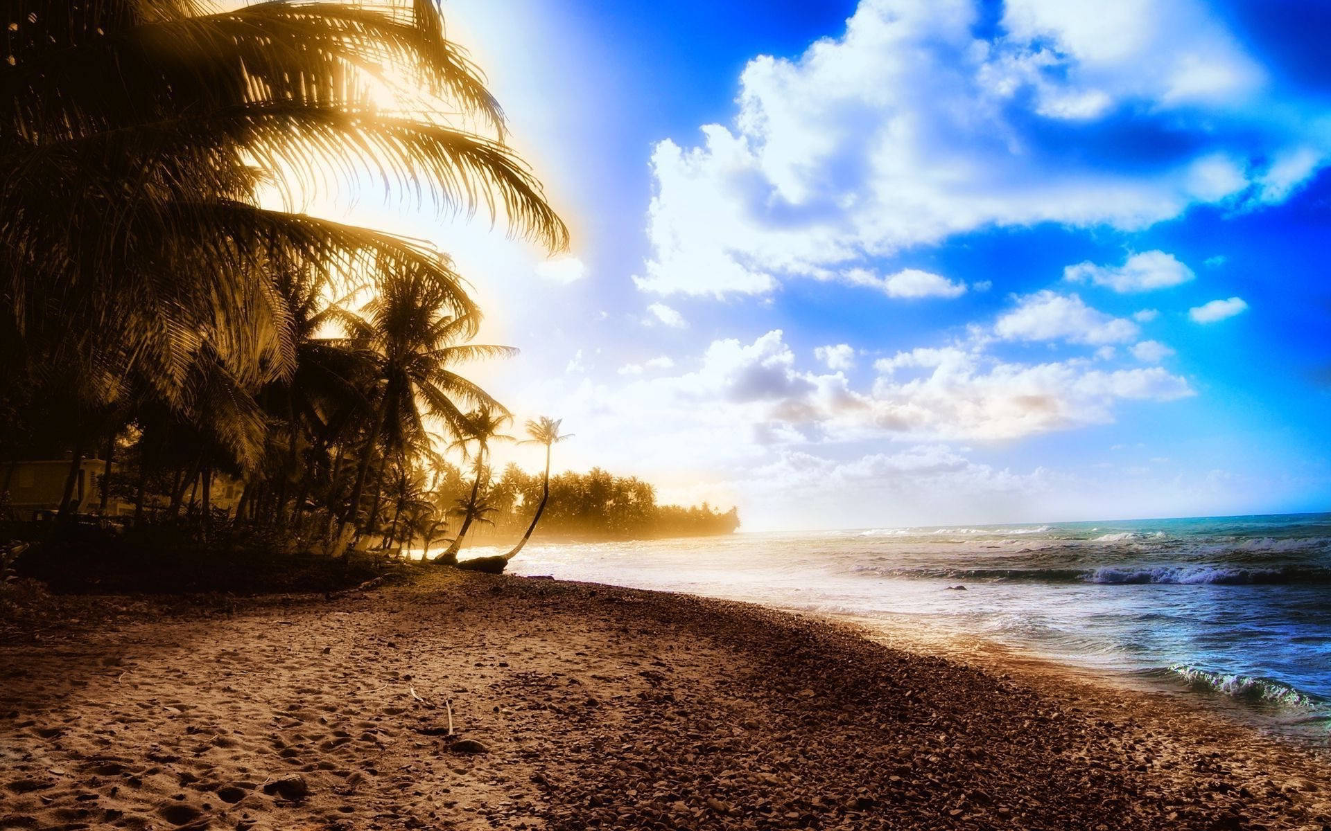 Golden sunset, palm trees, sandy beach, Full HD Desktop Wallpaper