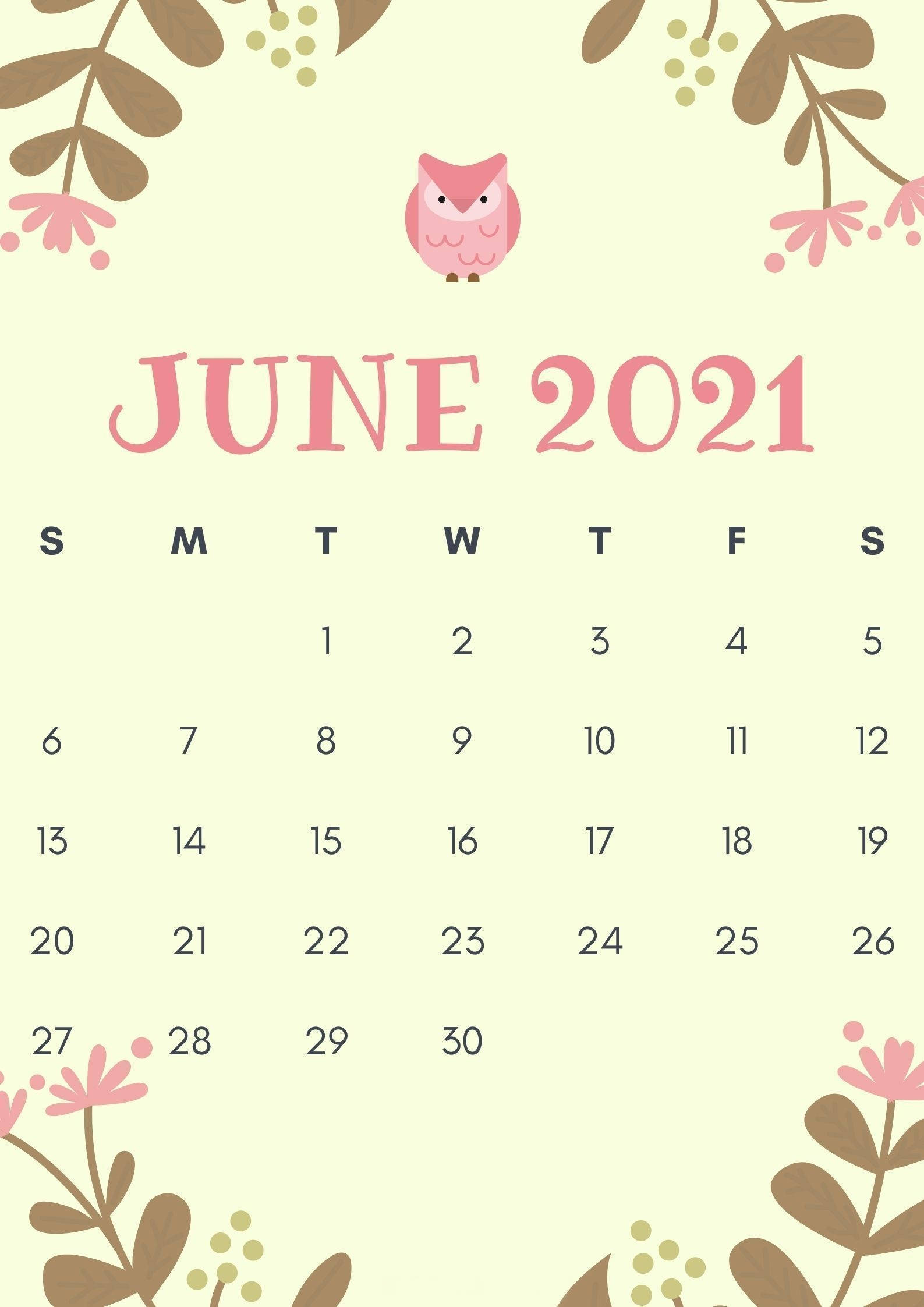June 2021, pastel calendar, pink owl, Full HD Phone Wallpaper