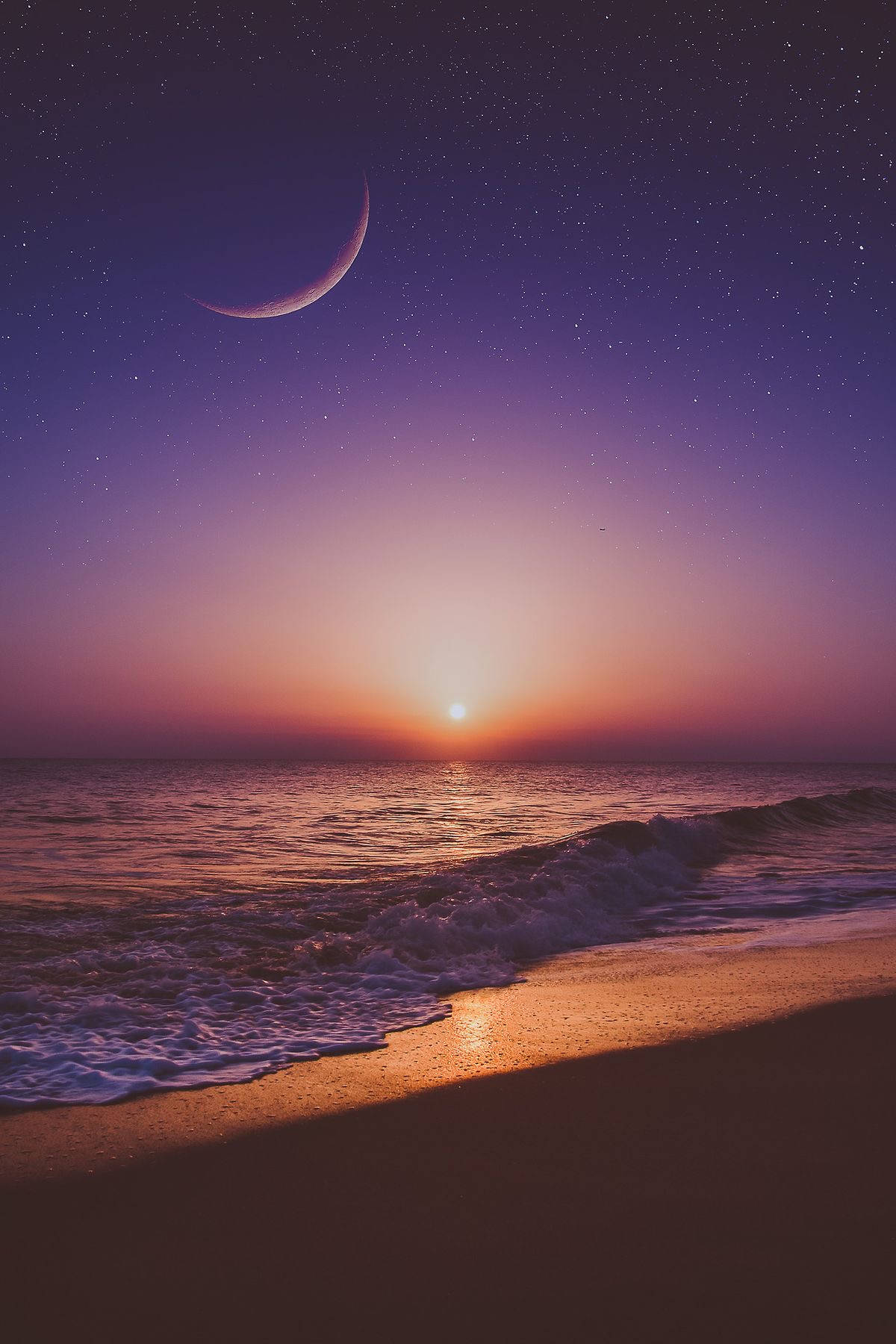 Sun And Moon, purple hue, twilight, HD Phone Wallpaper