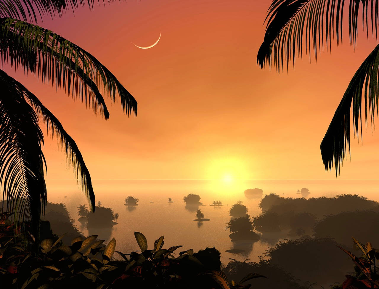 Sun And Moon, palm trees, sunset, HD Desktop Wallpaper