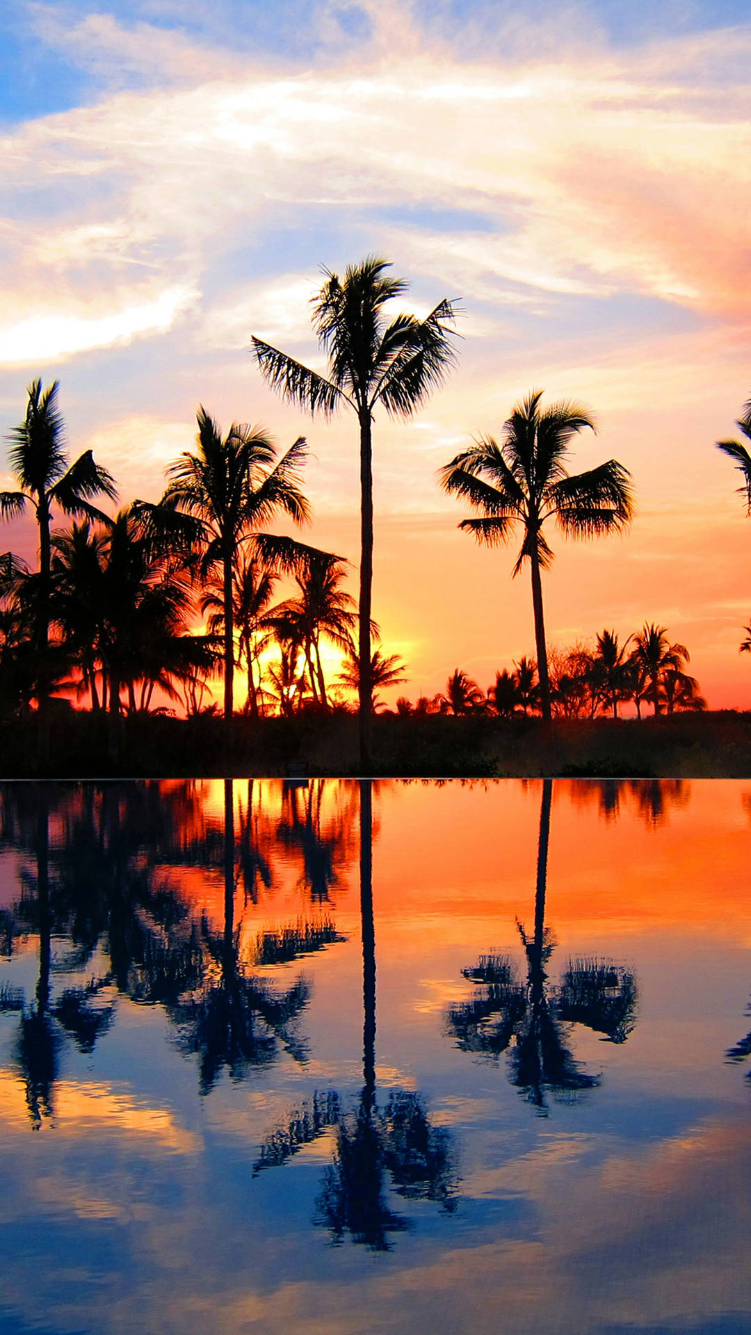 sunset, beach, palm trees, Full HD Phone Wallpaper