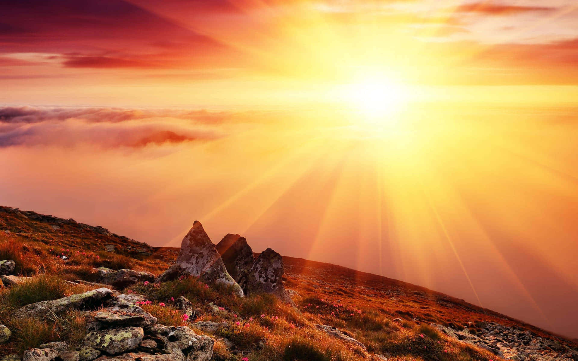Sun Rise, golden rays, sea of clouds, Full HD Desktop Wallpaper