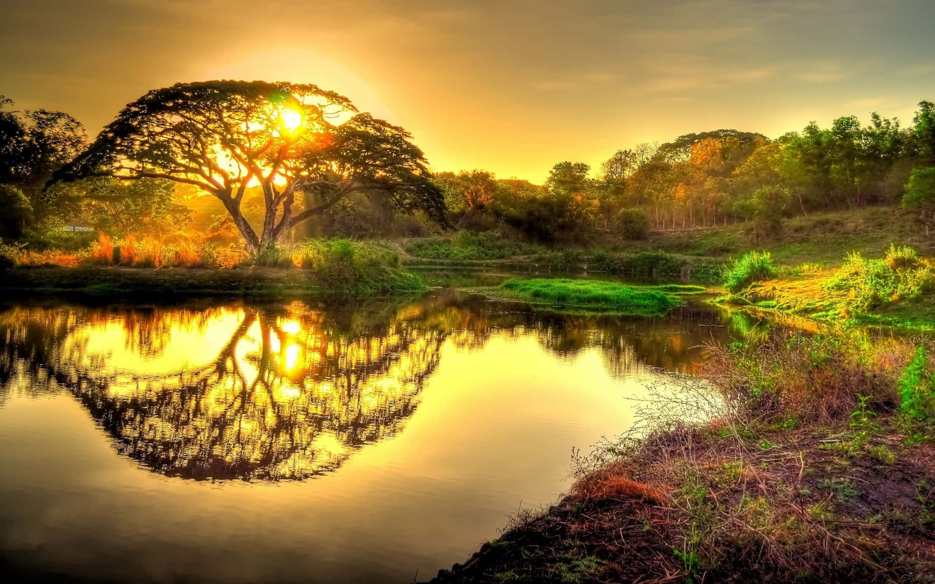 Sun Rise, riverside, golden sunset, Full HD Desktop Wallpaper