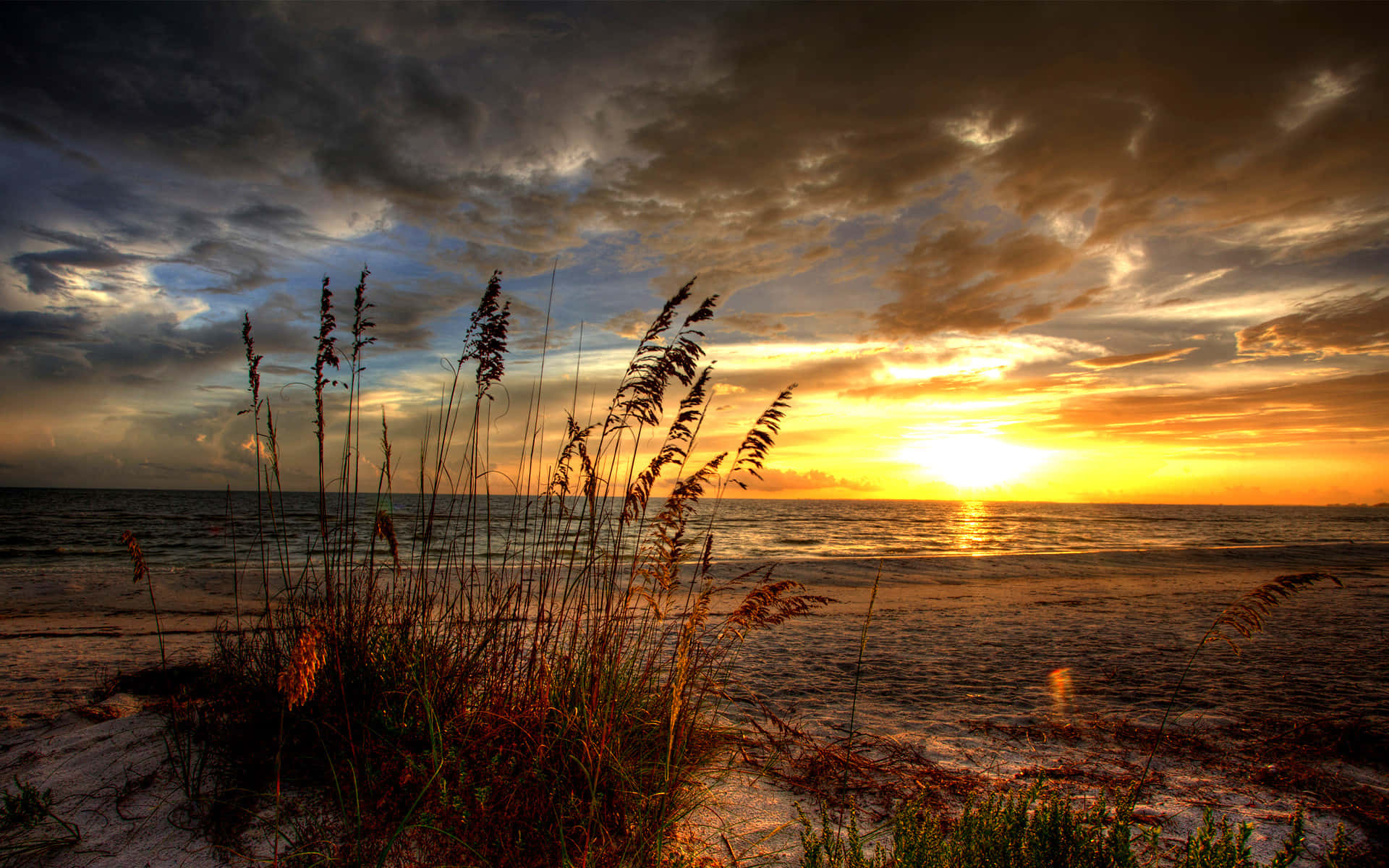 beach coastline, sun rise, golden light, Full HD Desktop Wallpaper