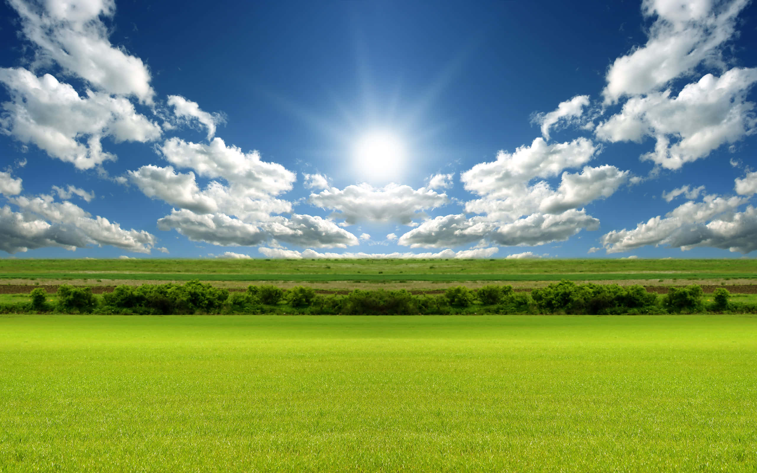 Sun Rise, green field, bright blue sky, 2K Desktop Wallpaper