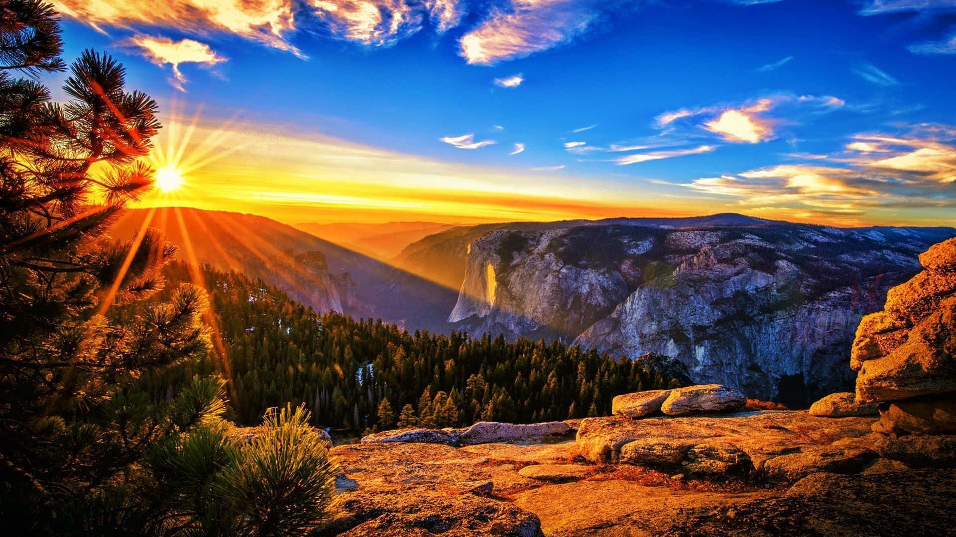 sunrise, pine trees, mountain valley, Full HD Desktop Wallpaper