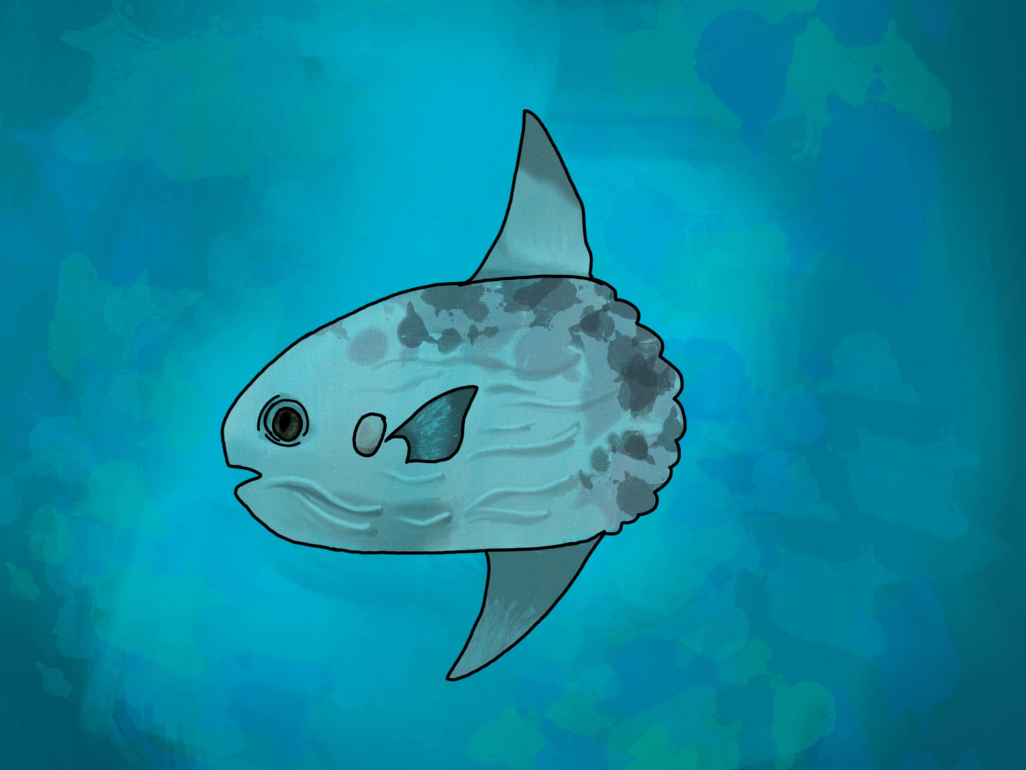 cartoon sunfish, underwater scene, turquoise blue, Full HD Desktop Wallpaper