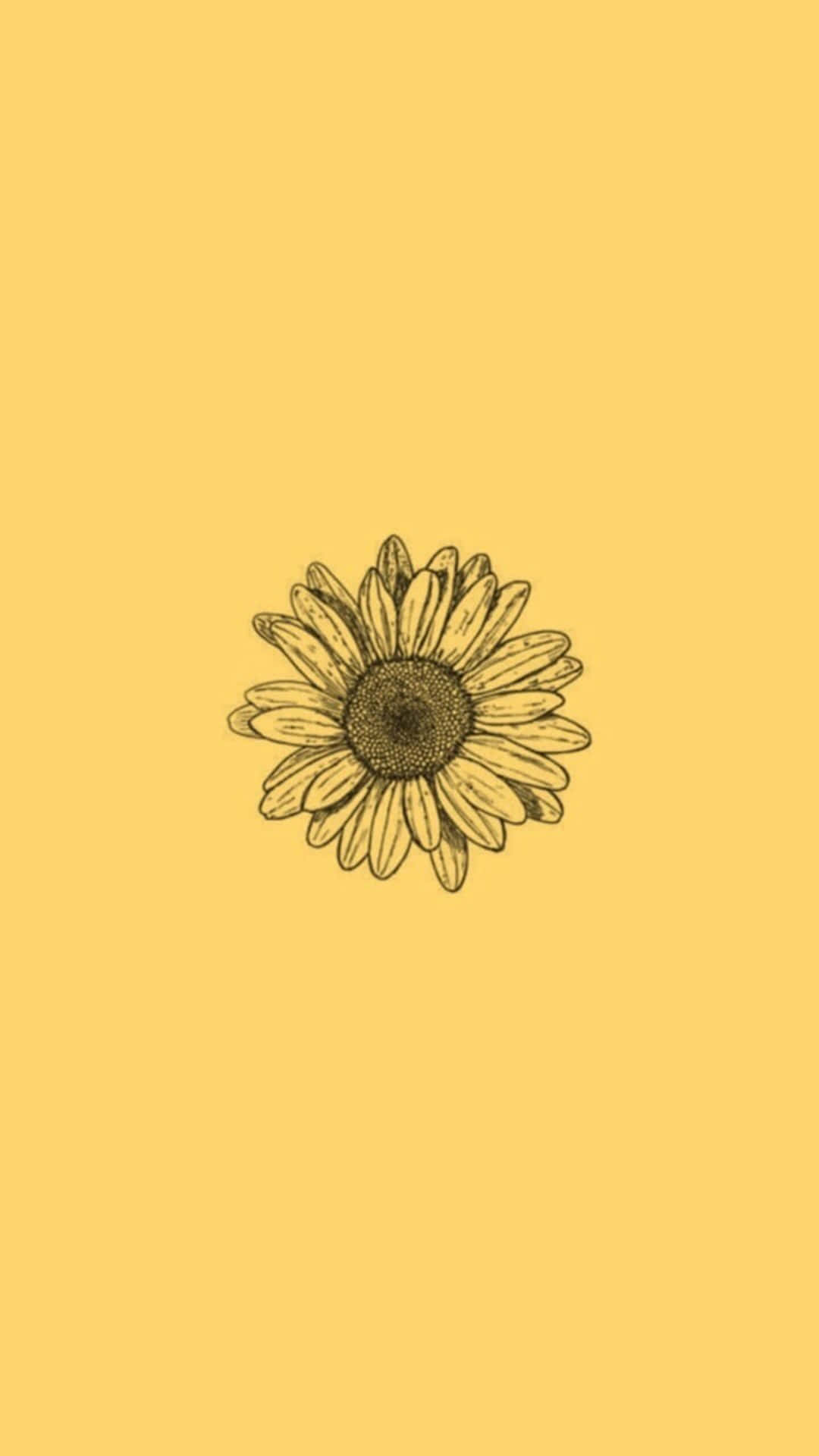 sunflower aesthetic iphone, minimalist line-art sunflower sketch, solid warm yellow background, Full HD Phone Wallpaper