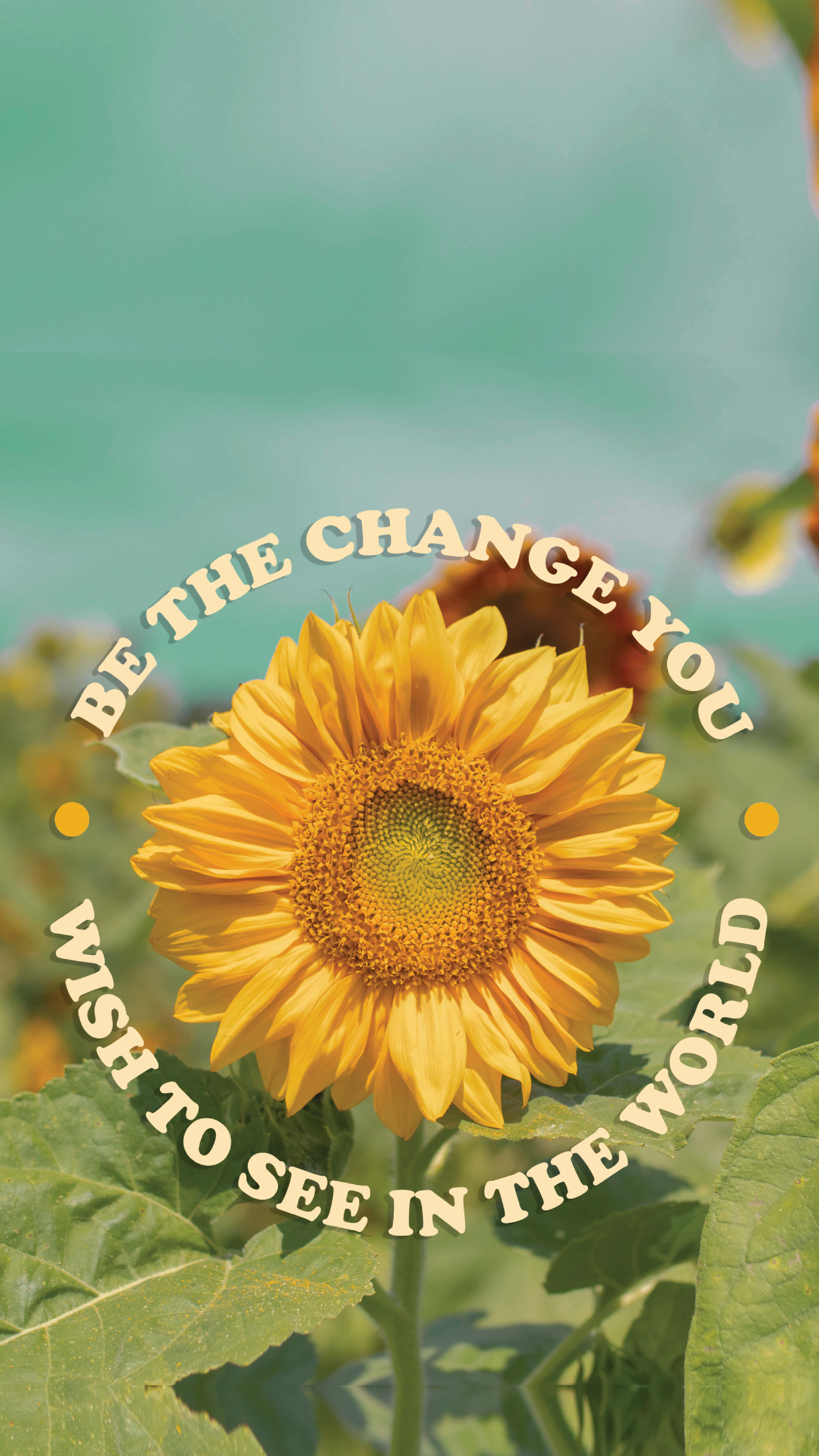 Sunflower Aesthetic iPhone, teal sky, sunflower, 5K Phone Wallpaper