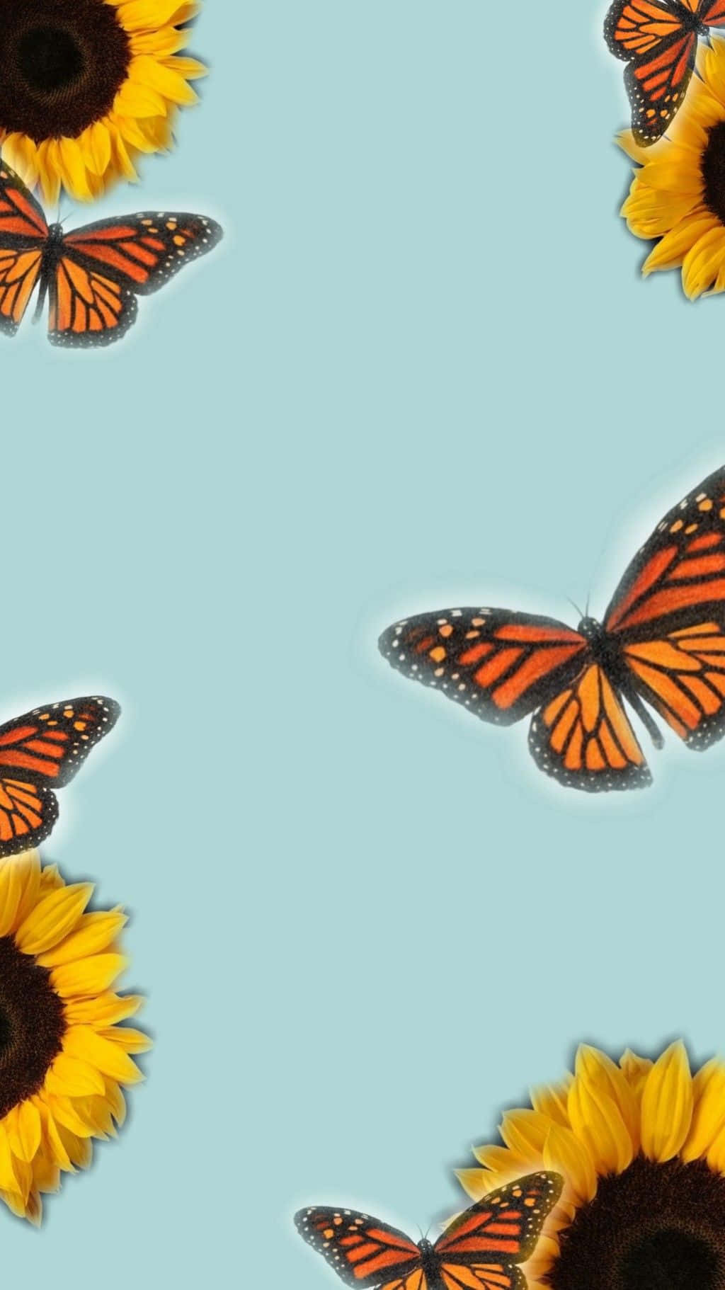 Sunflower Aesthetic iPhone, monarch butterflies, sunflowers, HD Phone Wallpaper