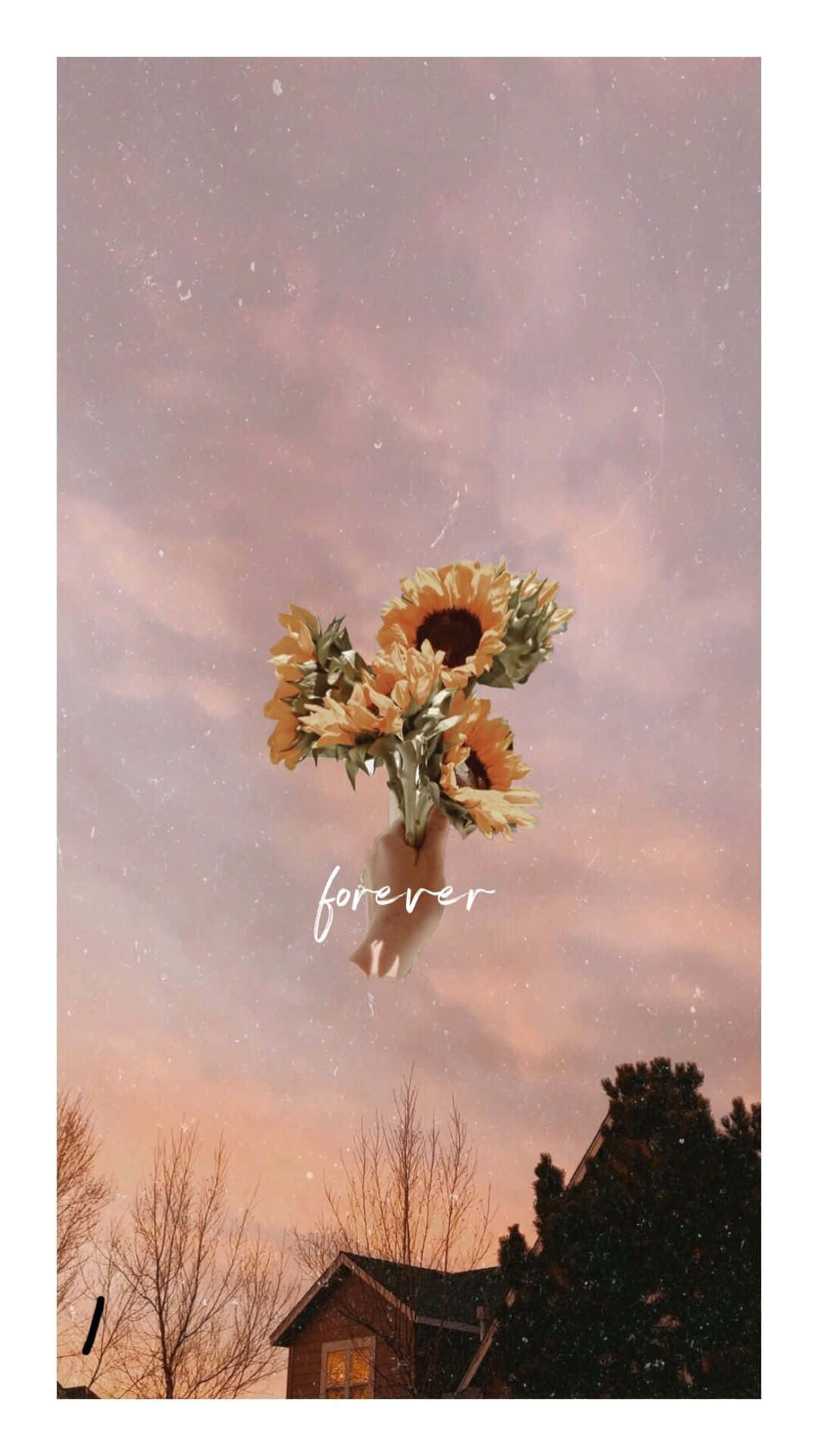 sunflower, pink twilight sky, house, Full HD Phone Wallpaper