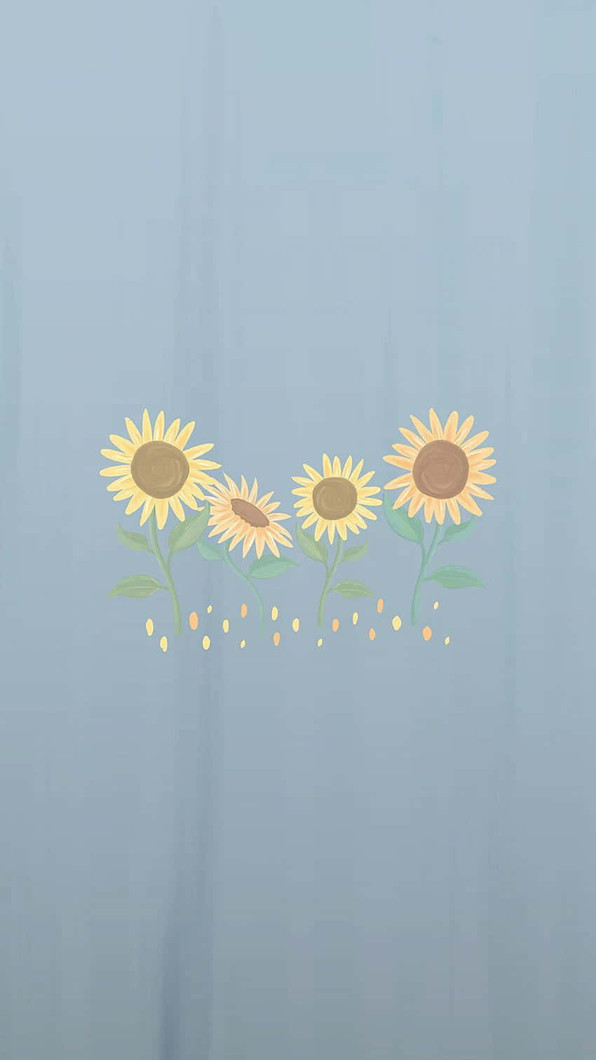 sunflower, yellow petals, brown centers, HD Phone Wallpaper