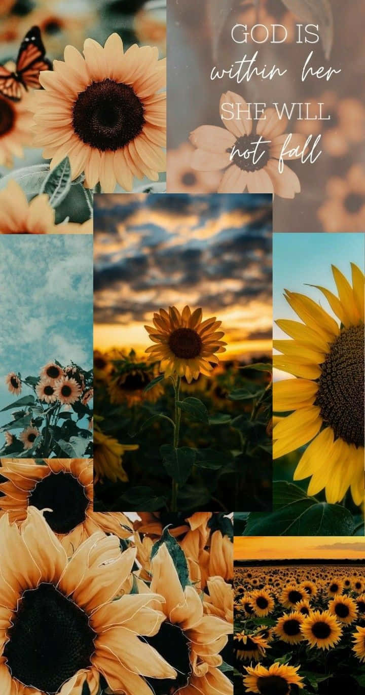 sunflower, butterfly, golden fields, HD Phone Wallpaper