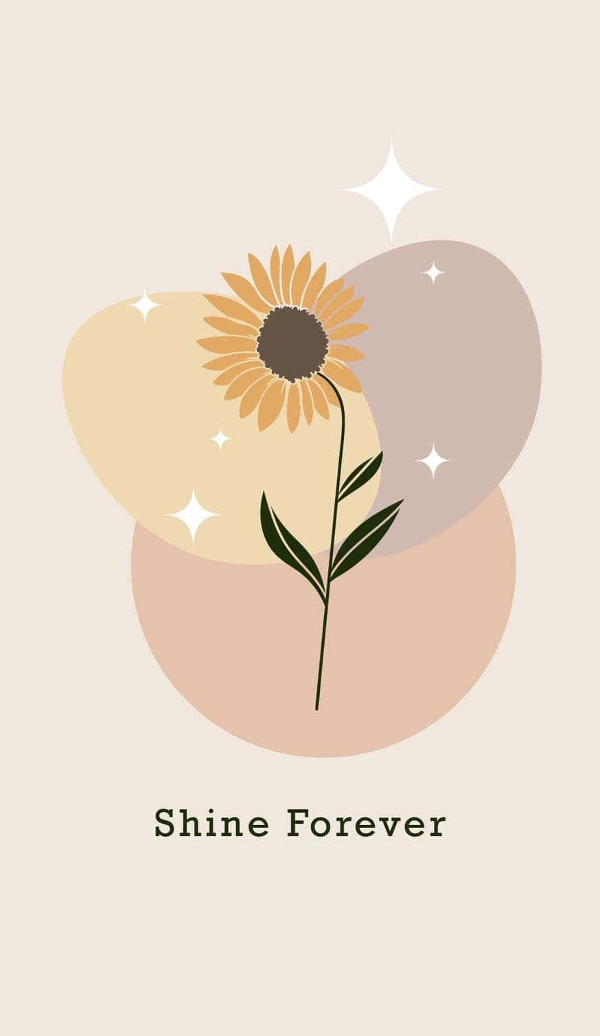Sunflower Aesthetic iPhone, golden petals, dark center, HD Phone Wallpaper