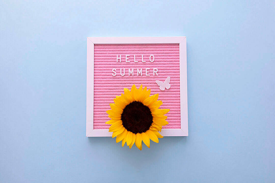 sunflower aesthetic, pink frame, letterboard, SD Desktop Wallpaper