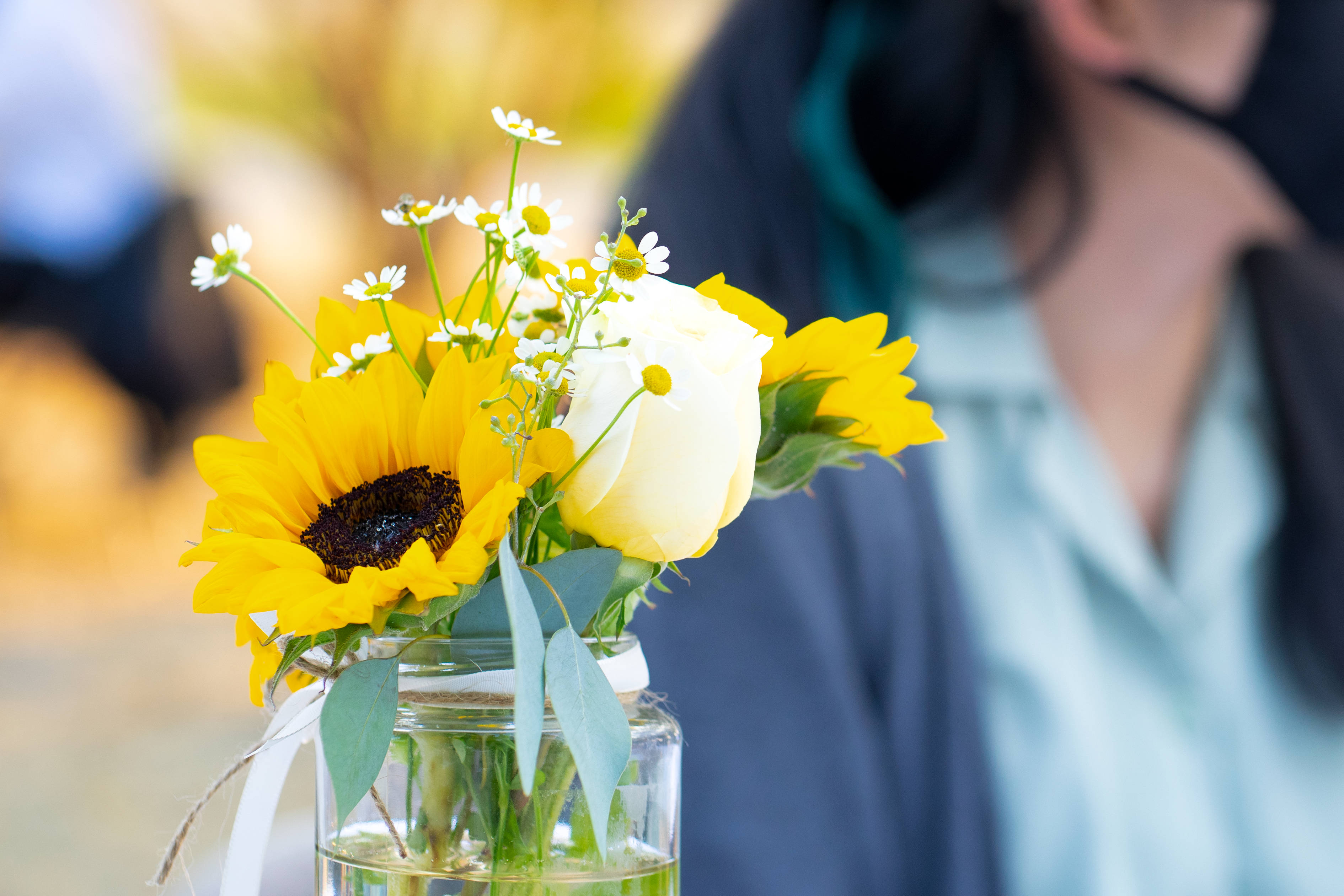 sunflower aesthetic, glass jar, vibrant sunflower, 2K Desktop Wallpaper