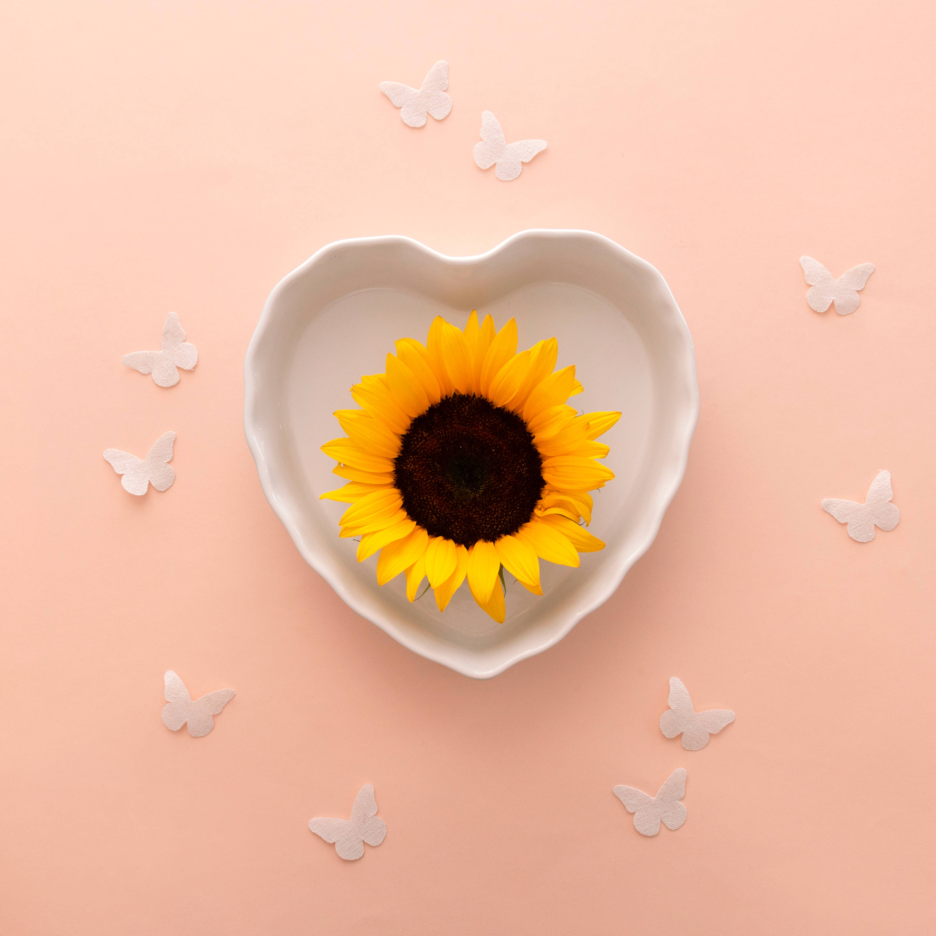 white cup, sunflower aesthetic, white heart-shaped bowl, 2K Phone Wallpaper