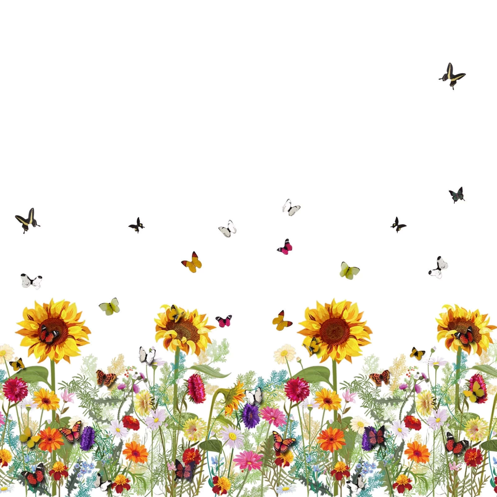 sunflowers, butterflies, garden, HD Desktop Wallpaper