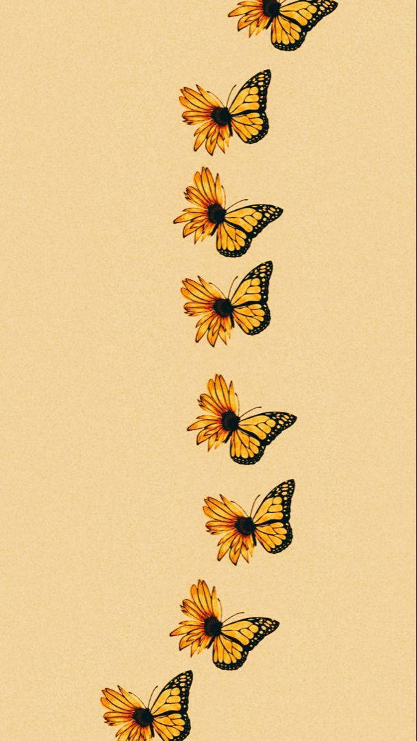 monarch butterflies, black veins, orange wings, SD Phone Wallpaper