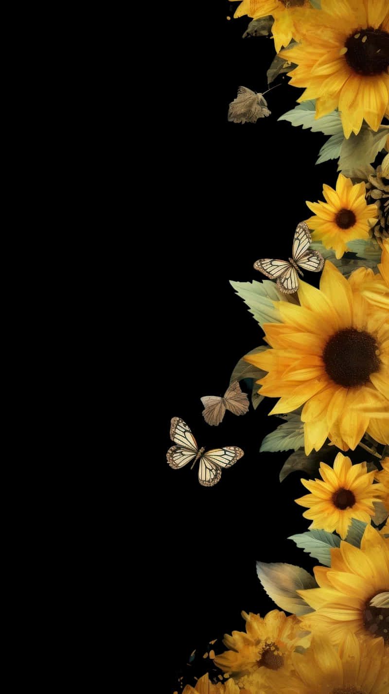 sunflowers and butterflies border, sunflowers, butterflies, HD Phone Wallpaper