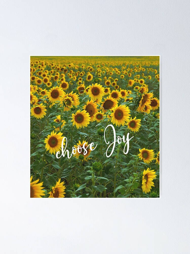 sunflower field, bright sun, cursive text choose Joy, SD Phone Wallpaper
