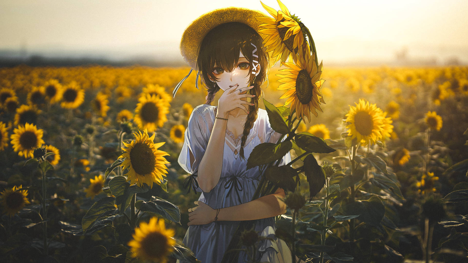 sunflower field, sunset light, straw hat, Full HD Desktop Wallpaper