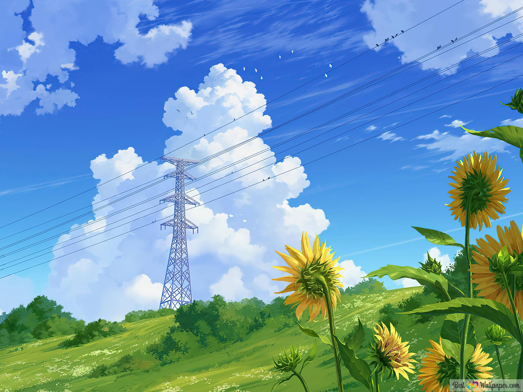 iPad, sunflowers, green hill, Full HD Desktop Wallpaper