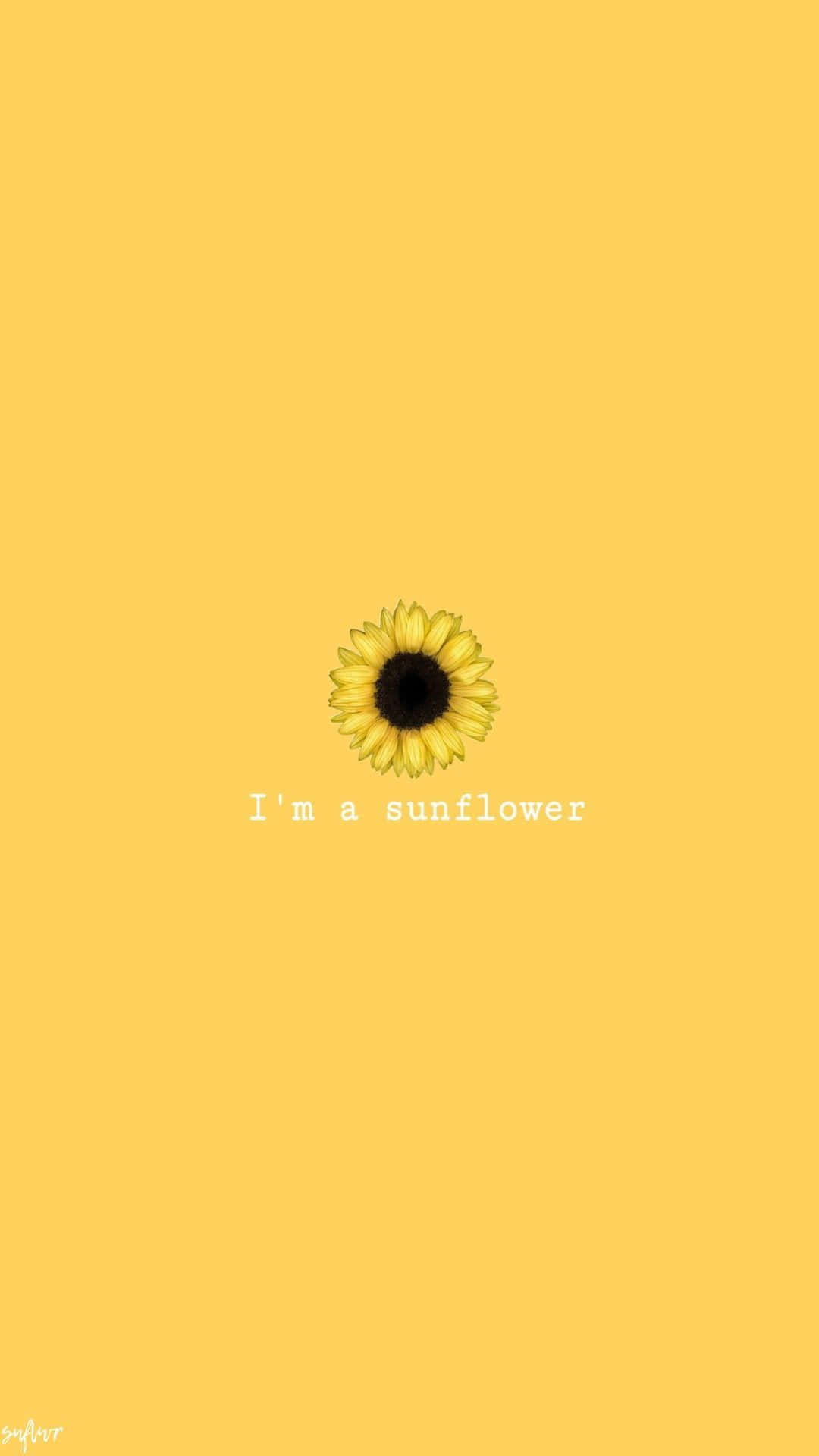 sunflower yellow, Tumblr aesthetic, solid yellow background, Full HD Phone Wallpaper
