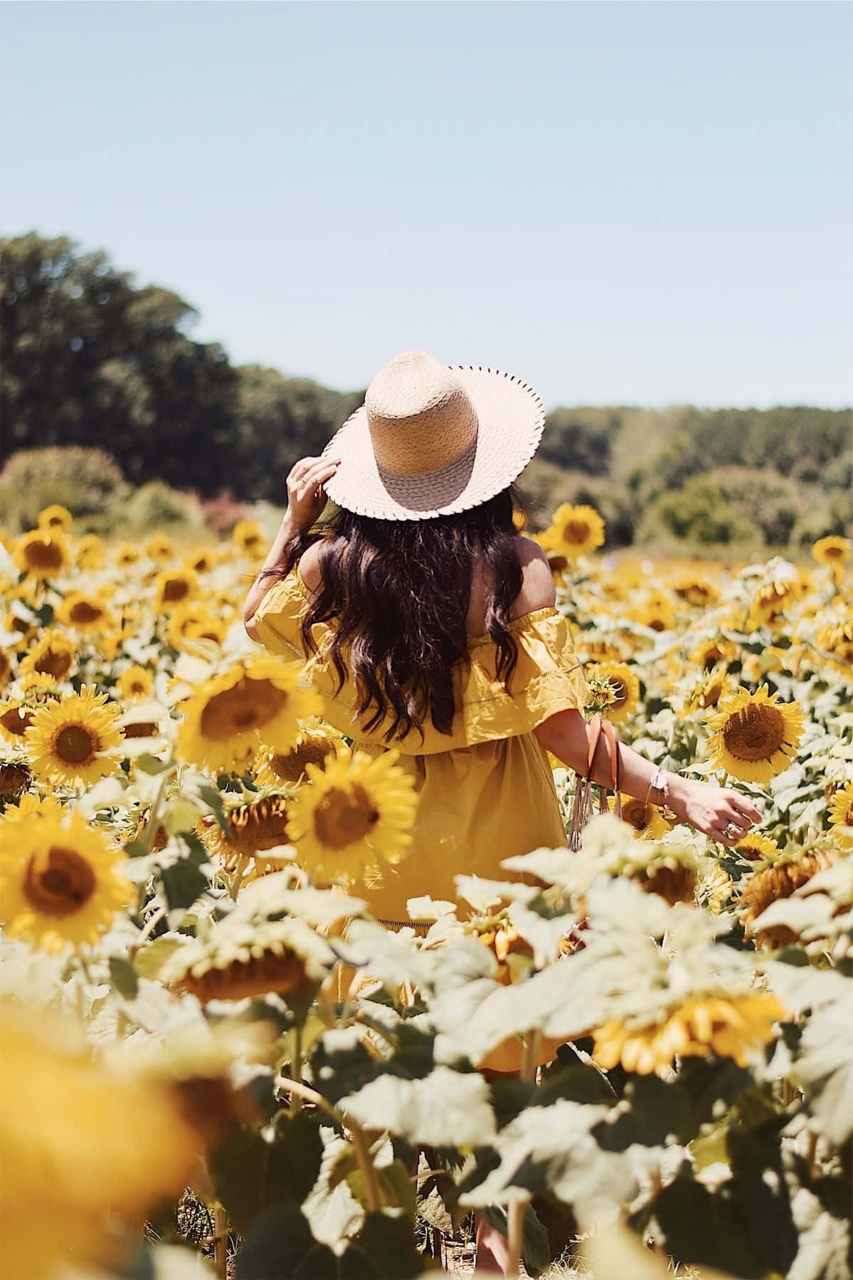 sunflower field, yellow dress, straw hat, HD Phone Wallpaper