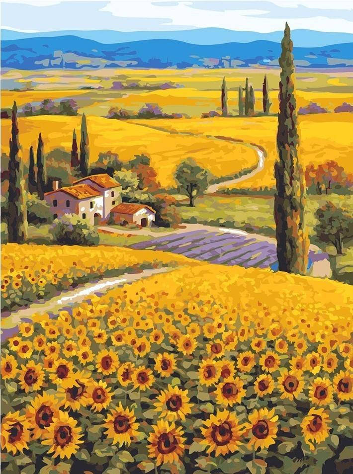 Sunflower Field, countryside, winding road, SD Phone Wallpaper